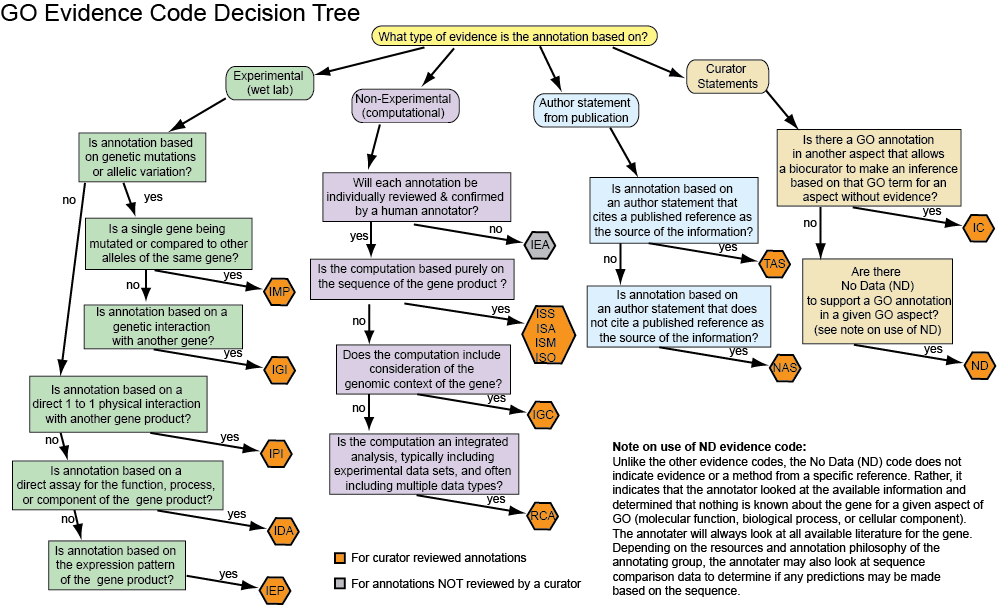 GO evidence code decision tree