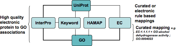 Diagram giving overview of electronic annotation