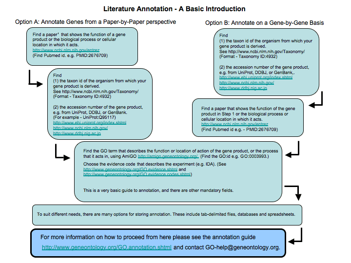 Basic steps involved in literature annotation