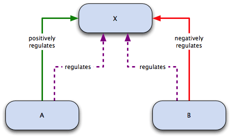 regulates, positively and negatively