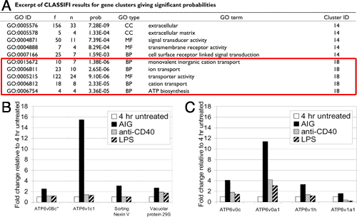 Using GO annotation to analyse microarray data