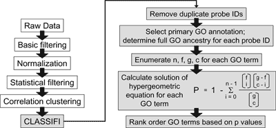 Microarray data processing flowchart