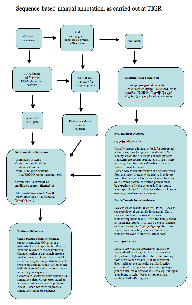 ISS annotation methods at TIGR