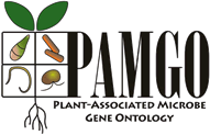 PAMGO logo