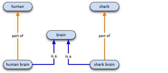 full ontology