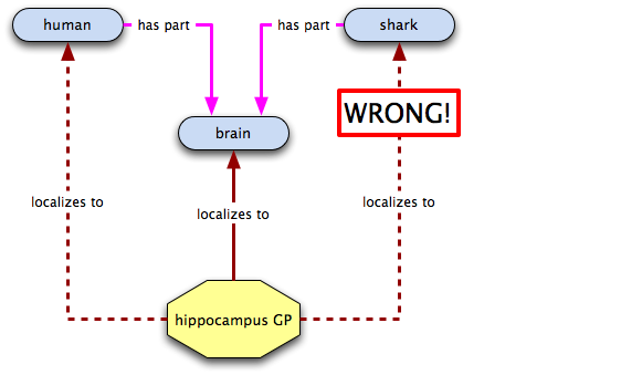 relations for a hippocampus GP