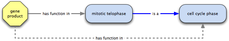 has function in is transitive over is a