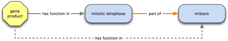 has function in is transitive over part of